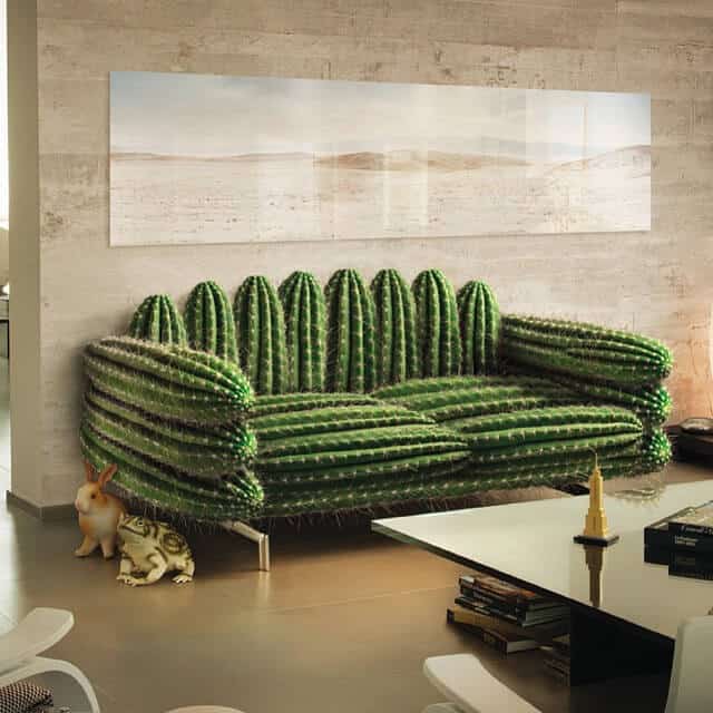 Sofa with cactus thorns which is breaking away from comfort